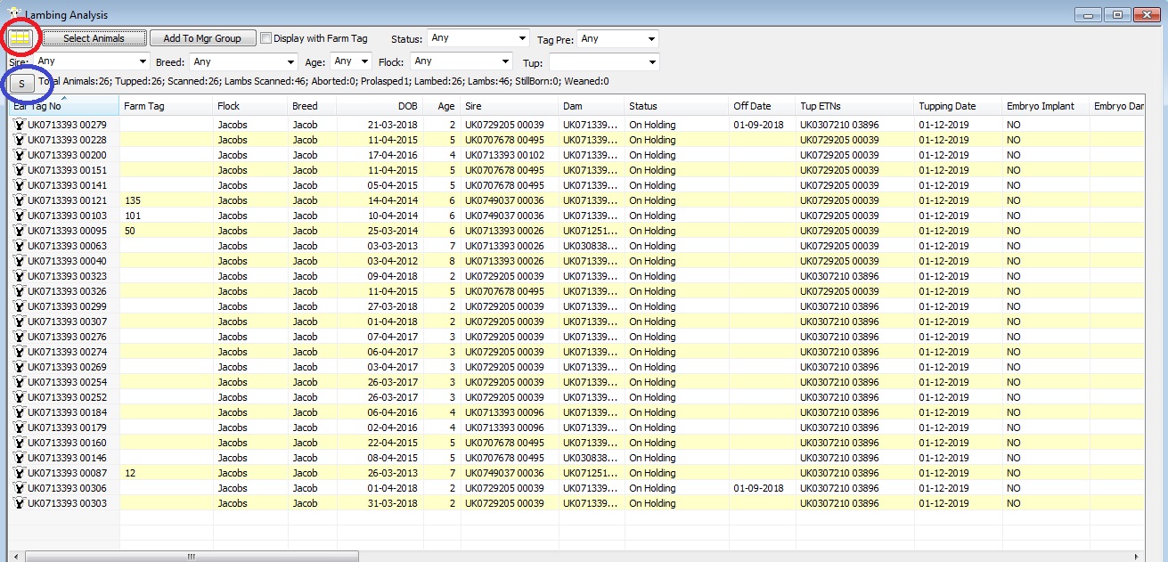 Ewe Performance Lambing Analysis