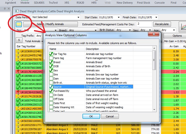 Dead Weight Analysis Column Options