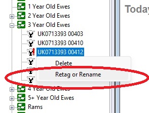 Sheep Retag Popup in the tree view
