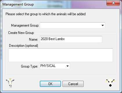 Add To Management Group Options