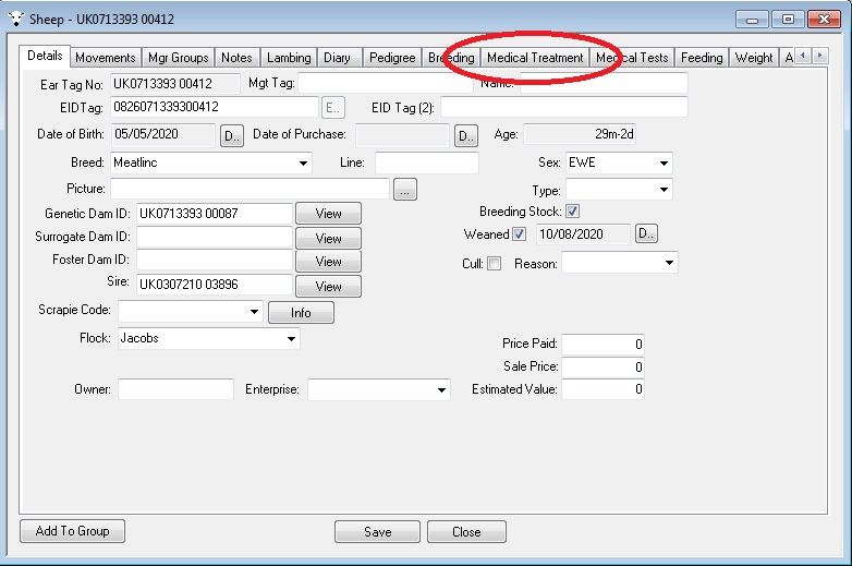 Sheep Individual Treatement 1