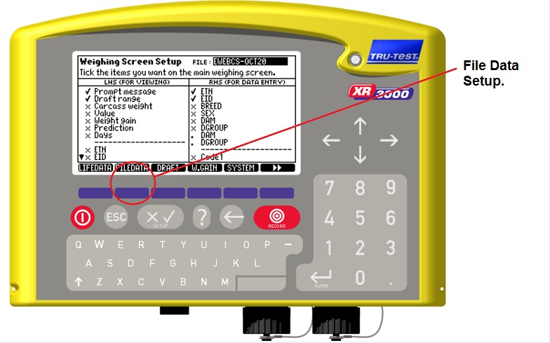 XR3000 File data- setup