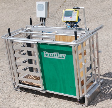 Prattley Manual Drafting Weigh Crate with EID